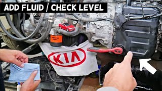 HOW TO ADD CHECK TRANSMISSION FLUID LEVEL ON KIA FORTE OPTIMA RIO SOUL SORENTO SPORTAGE