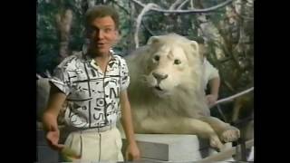 Muppet Songs: The Nylons - The Lion Sleeps Tonight