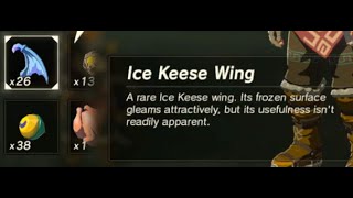 Ice Keese Wing | Farming Location | Zelda BOTW