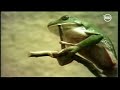 Plaza Sésamo Sesame Street Frog Struggle Song Long Hard Climb Latin Spanish