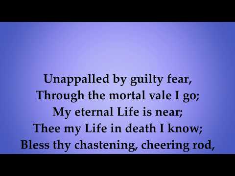 Thumbnail for Jesus The Good Shepherd Is video