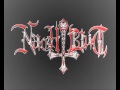 Nachtblut - Die Blutgräfin 