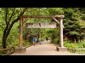 Muir Woods National Monument Tour from San Francisco