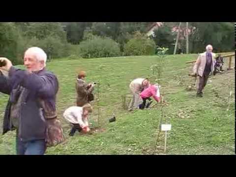 7 Boguszyn-spacer z biskupem Decem i posadzenie drzewek 25- 09- 2013 r.