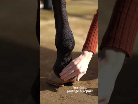 Essential G2 Boue - Youtube video