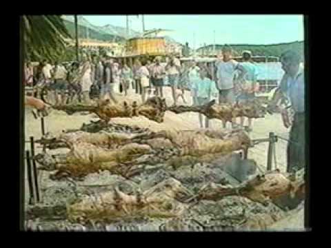 Matko Jelavic Dalmacijo Spot