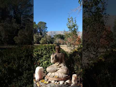 ¡AVENTURAS CON DAI Y PETERBOY! SAN JAVIER - #cordoba  - #argentina