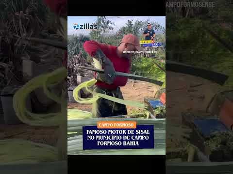 Motor de sinal em Campo Formoso Bahia