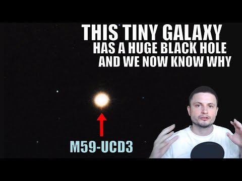 These Tiny Galaxies Have Huge Black Holes and We Now Know Why