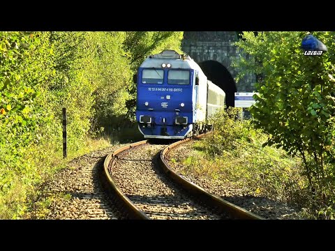 Trenuri & Trafic Feroviar/Trains & Rail Traffic in Defileul Crișului Repede Canyon 08 September 2020
