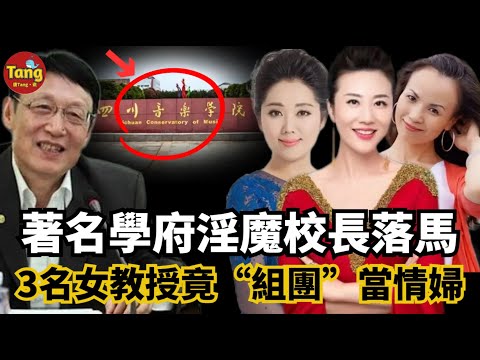 著名學府淫魔校長落馬！3名女教授竟“組團”當情婦爲其斂財，私密小樓驚現大量情色用品。誘女學生失身，騙家長錢財，噁行持續長達10年之久，最後他是怎麼落馬的？#调查#事件#真相@TangtangSay