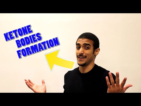 Ketone bodies formation (شرح بالعربي)