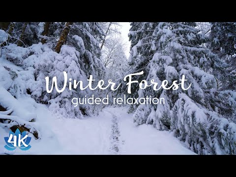 Deep Relaxation & Stress Relief | Emotional Healing | Winter Forest Walk: Guided Visualization Story