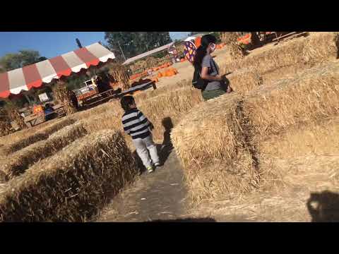 Toddler hay bale maze
