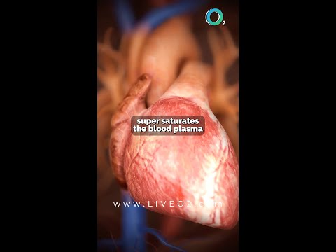 BrainO2 &mdash; Explainer by Mark Squibb