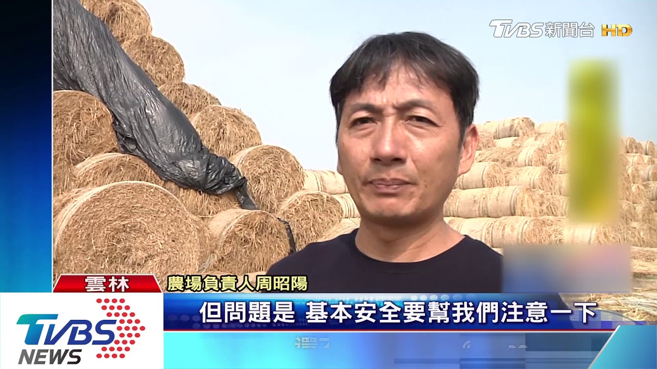 打卡美景「稻草卷山」 恐因民眾抽菸關閉