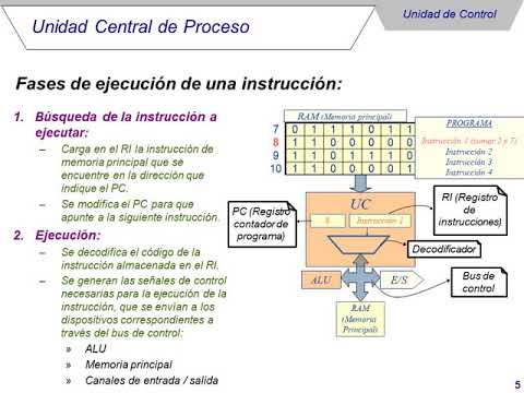 La CPU: UC, ALU y las fases de ejecución de una instrucción