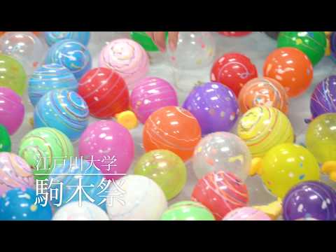 『2019駒木祭』～出展団体～