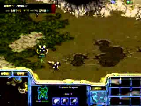 Bisu vs Stork @ Python 2007 07 14 GomTV MSL Final Game 3