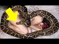 Woman Sleeps With Snake Every Night, Until Doctor Shows Her What's Inside