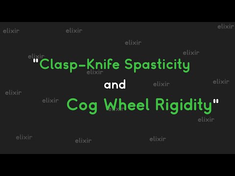 The Cogwheel System - New Reazon
