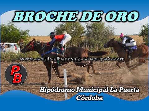 BROCHE DE ORO - HIPODROMO LA PUERTA, CORDOBA (31-10-2021)