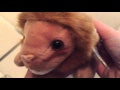 Estate Sale Ty Beanie Baby Haul