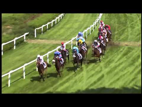 Hamburg: Hanshin-Cup (Listenrennen) - Siegerin: Path Wind