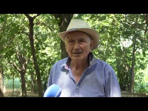 SPACIR PO VOJVODINI ZIVOT NA SALASU