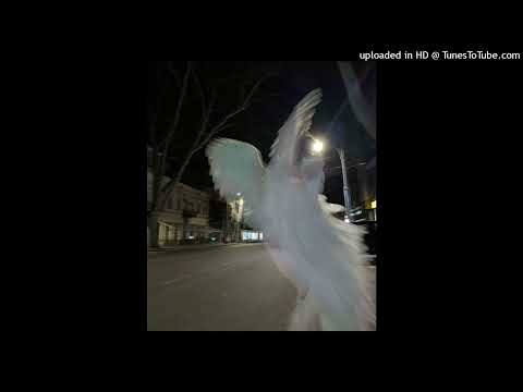 ★free★ 4N WAY x FENDIGLOCK x NEW JAZZ Type Beat - zany prod.by outofpacks