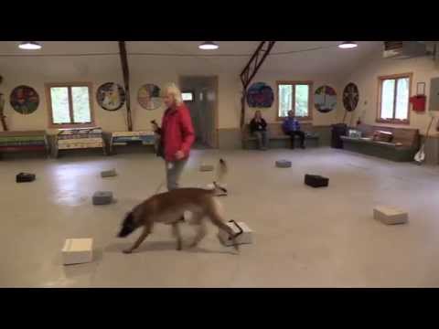 Saju Ritter Container Search for NW2 title