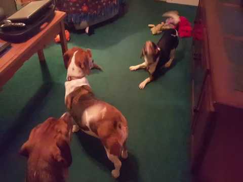 Benny with Lakota and Zuni