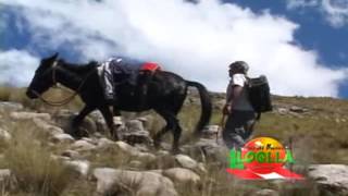 ANTONIO QUAKIRA - FLORECITA