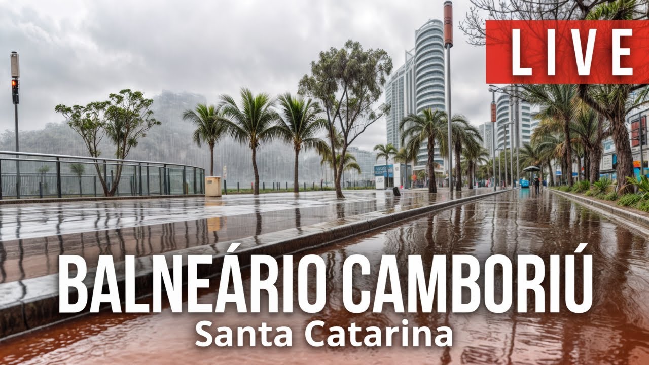 Balneário Camboriú ao vivo 11/01/2025