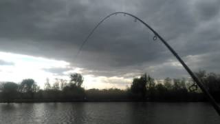 Shimano beastmaster dx feeder 13