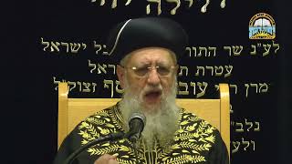 מגילת אסתר: "בן שמעי - בן קיש" לכאורה זה אותו דבר? - מרן הראשון לציון הגאון רבי דוד יוסף שליט"א (מוסדות יחווה דעת) - התמונה מוצגת ישירות מתוך אתר האינטרנט יוטיוב. זכויות היוצרים בתמונה שייכות ליוצרה. קישור קרדיט למקור התוכן נמצא בתוך דף הסרטון