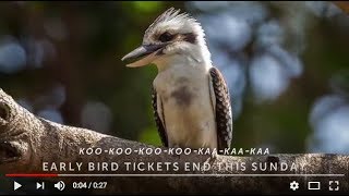 Early bird tickets end this Sunday