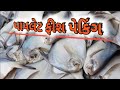 પાપલેટ ફીશ પેકિંગ Paplet Fish Peking Kkparmargj32