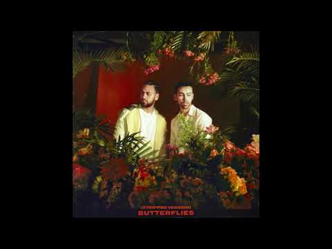 MAX & Ali Gatie - Butterflies (Stripped) [Official Audio]