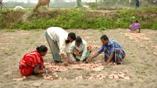 একটি বাড়ি একটি খামার প্রকল্পের গান