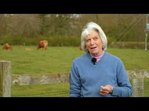 , title : 'Mrs Wright of Oxey Farm talks about her South Devon herd'