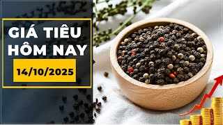Giá hồ tiêu hôm nay ngày 14/10/2025 | Giá tiêu thế giới bật nhẹ, tín hiệu tích cực cho nông dân Việt