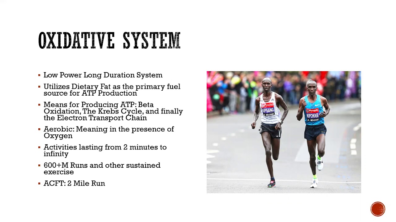 Energy Systems Powerpoint