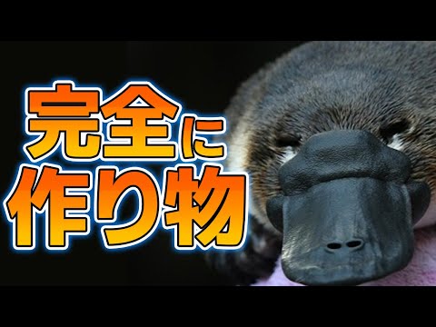 カモノハシについての好奇心