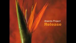 03 •  The Ananda Project - Breaking Down  (Demo Length Version)