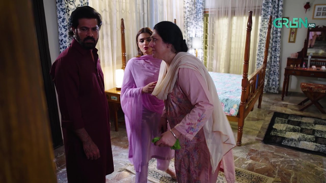 Dusri Shadi Ke Chakar Mein Ghar Ke Paper Par Nazar | Hira Mani - Mohib Mirza | Green TV