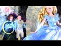 Doll Review: Cinderella | The Prince, Lady ...