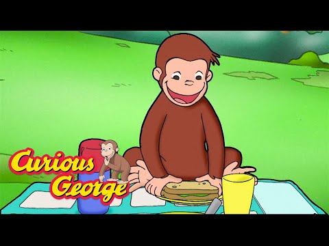 It's Picnic Time! 🐵 Curious George 🐵 Kids Cartoon 🐵 Kids Movies