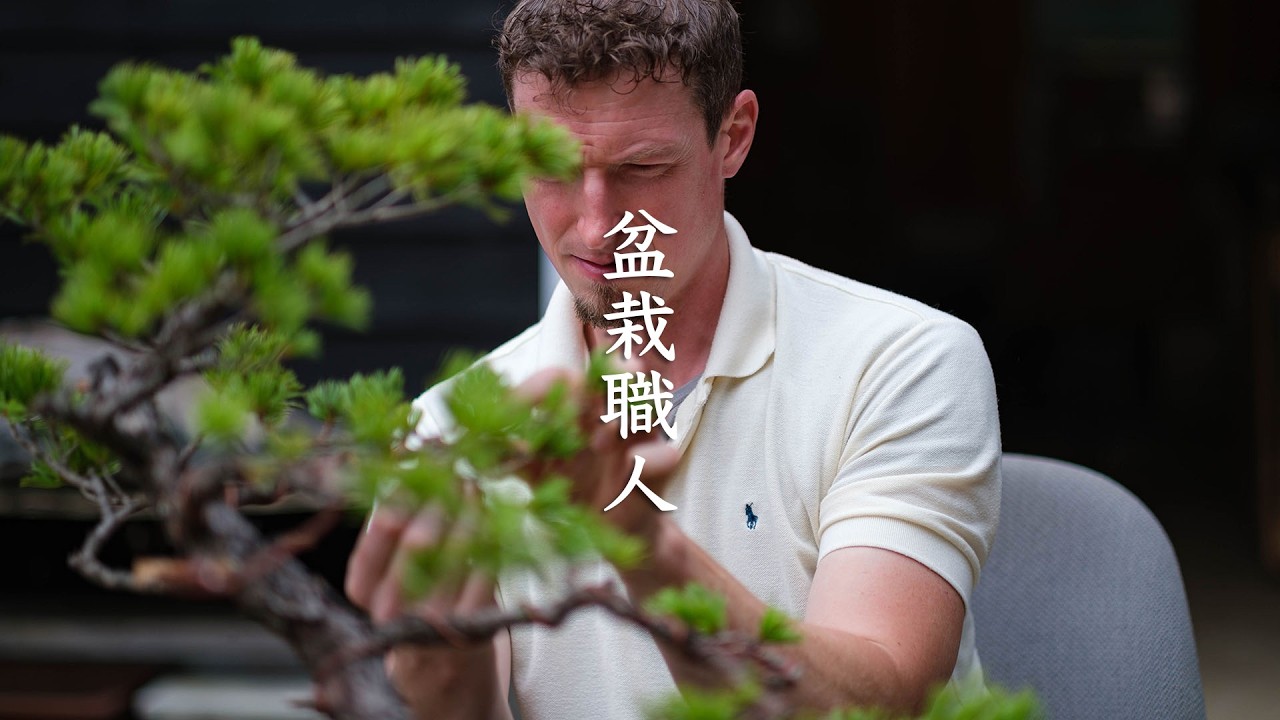 Tree House Bonsai