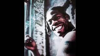 Survival hungry (no Hook edition) - Busta Rhymes